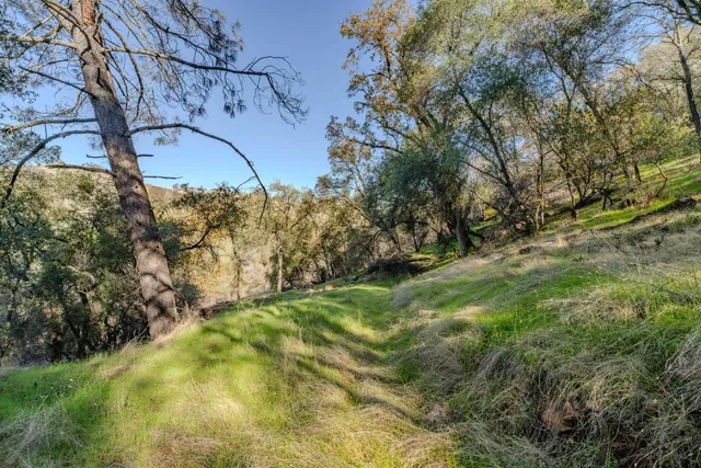 a backyard of a house with lots of green space