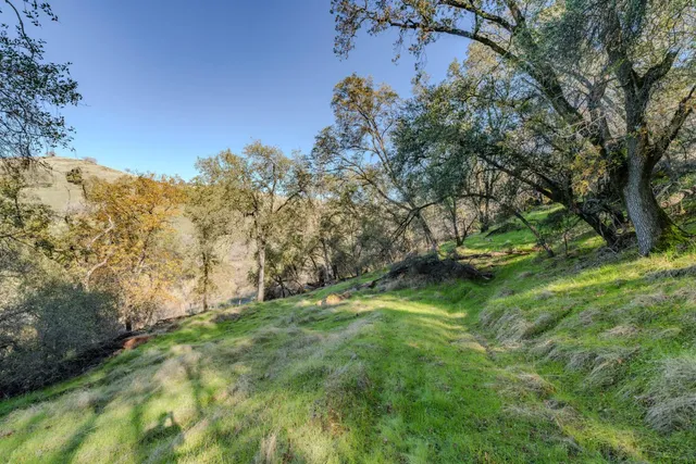 a big yard with lots of green space