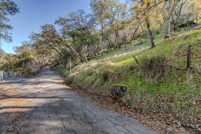 a view of a yard with a tree