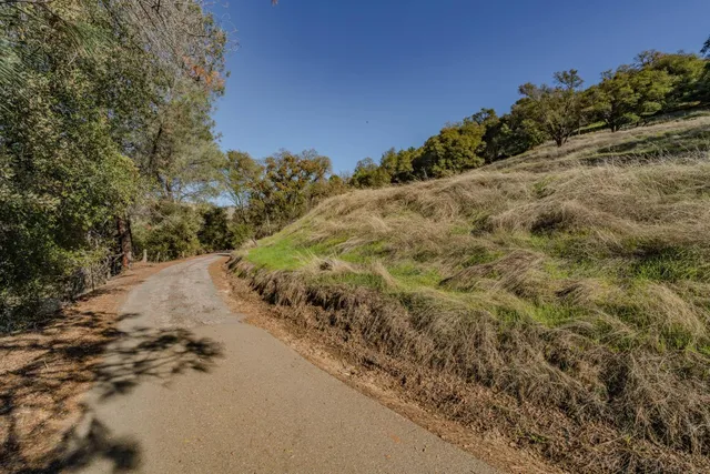 a view of a yard with a tree