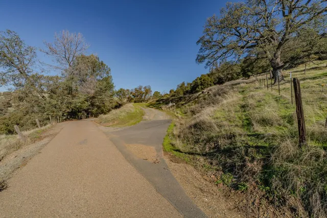 a view of a tree with a park