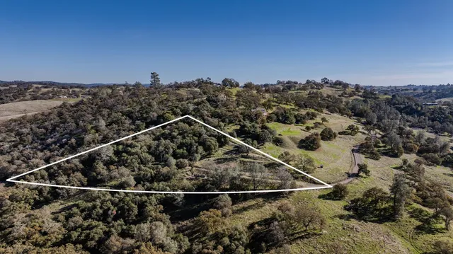 a view of a forest with a forest