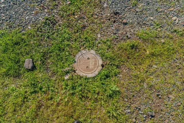 a view of a backyard with a tree