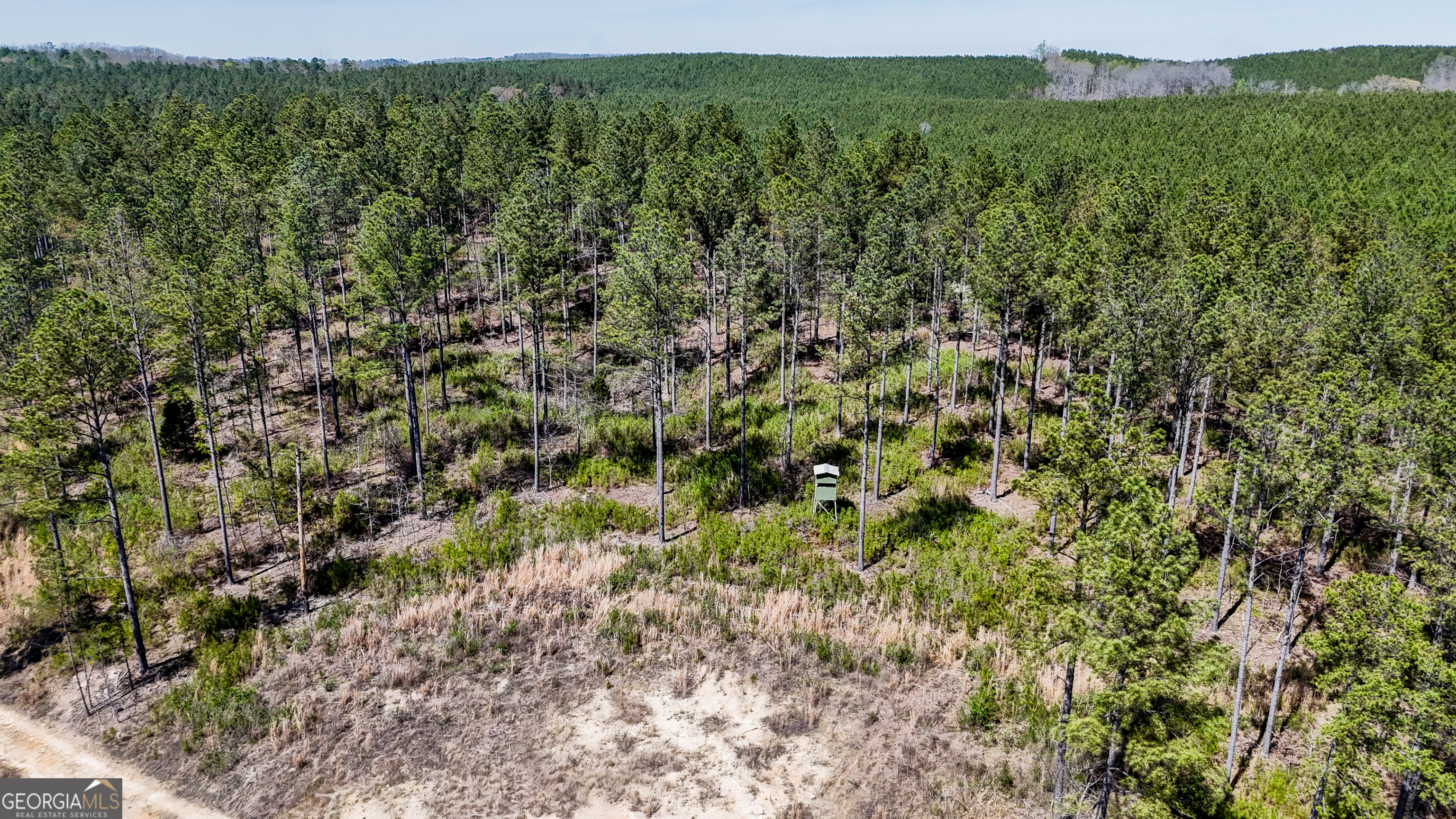 403-acres Youngs Farm Road Cedartown, GA 30125 - Photo 8 of 14