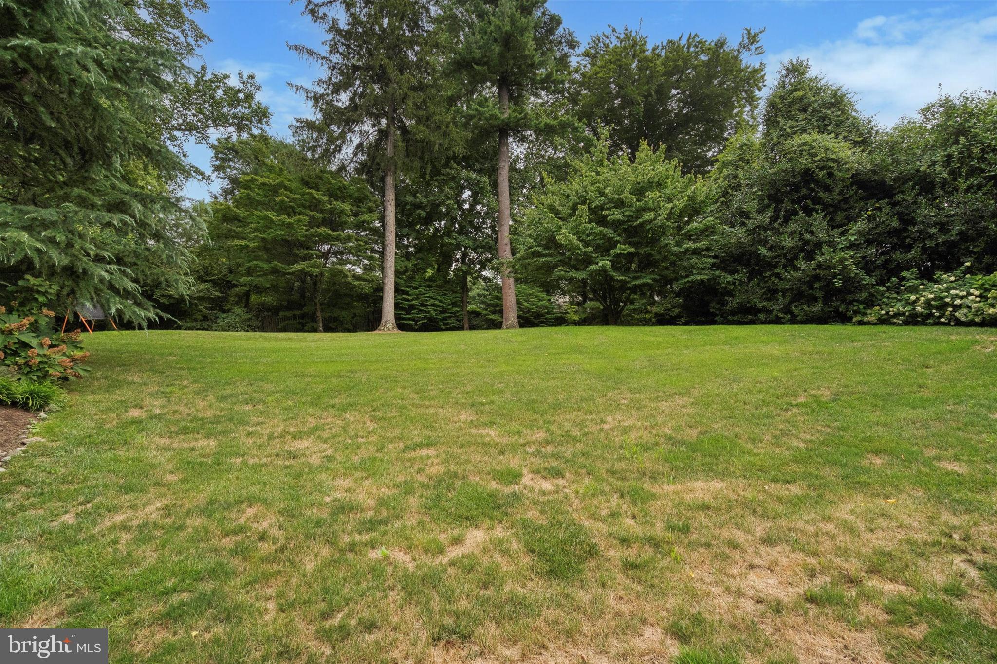 145 Biddulph Road Wayne, PA 19087 - Photo 36 of 38 a view of a field with trees in the background