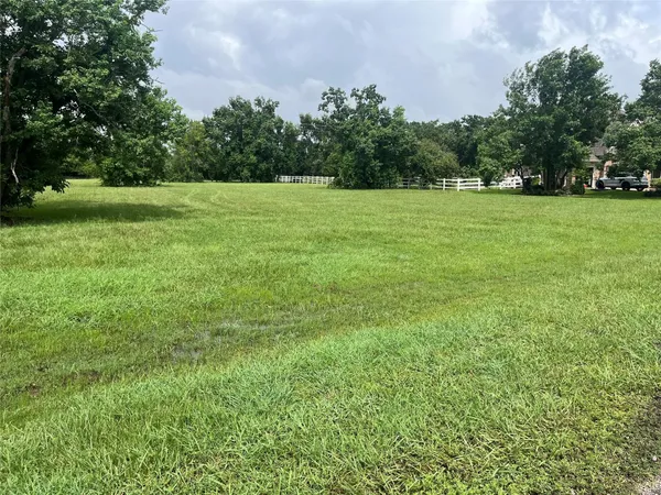 a view of a grassy field with trees in the background
