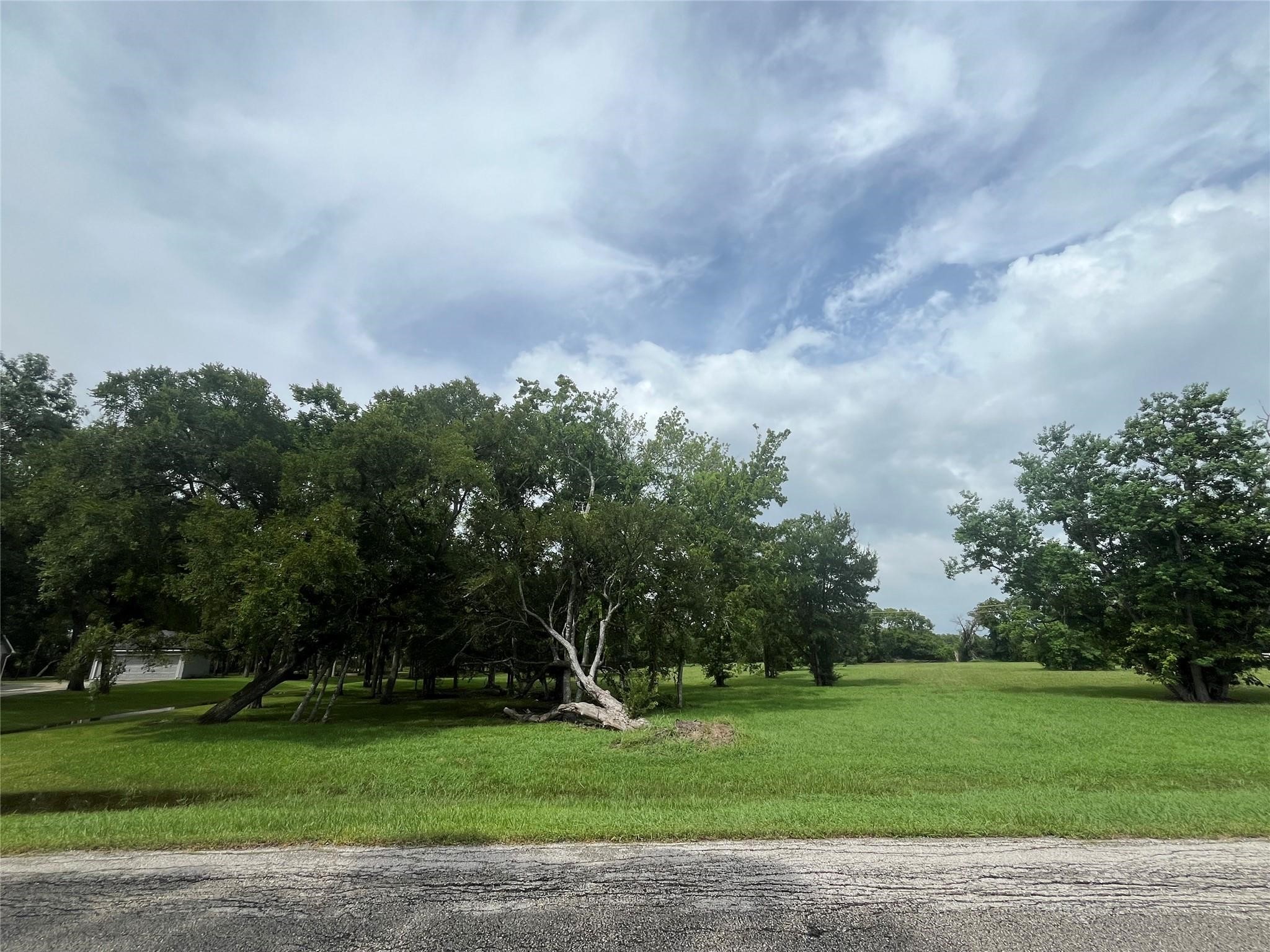 6703 Rustling Oaks Drive Rosenberg, TX 77469 - Photo 3 of 10 a view of a golf course with a garden