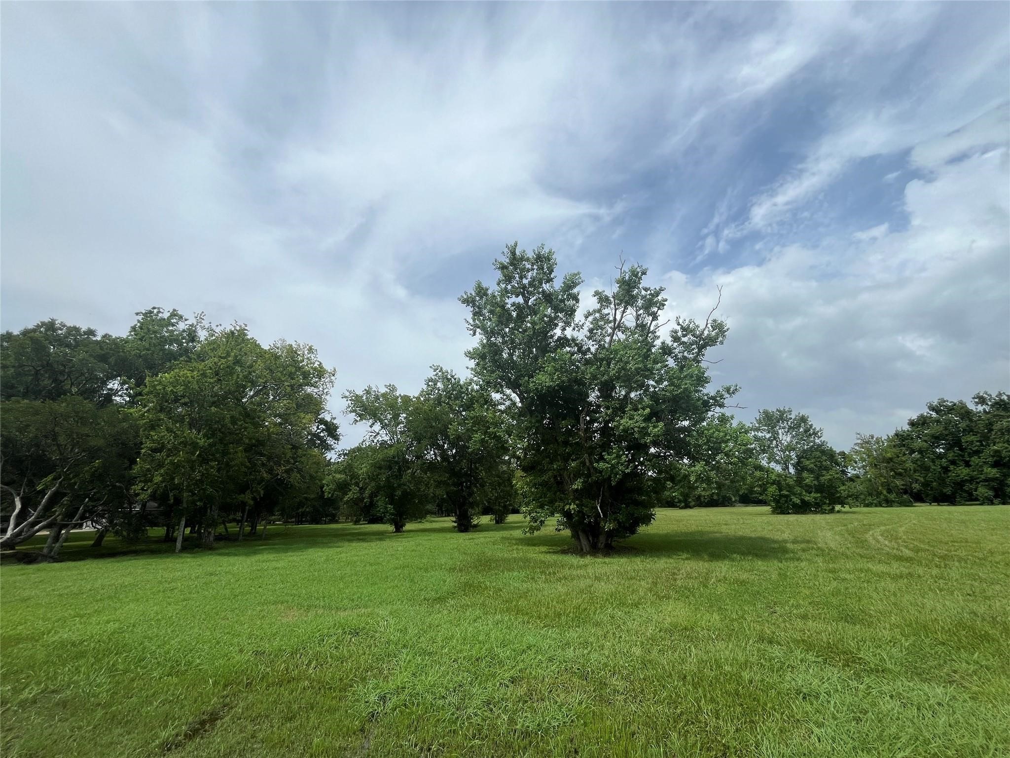 6703 Rustling Oaks Drive Rosenberg, TX 77469 - Photo 4 of 10 a view of a grassy field