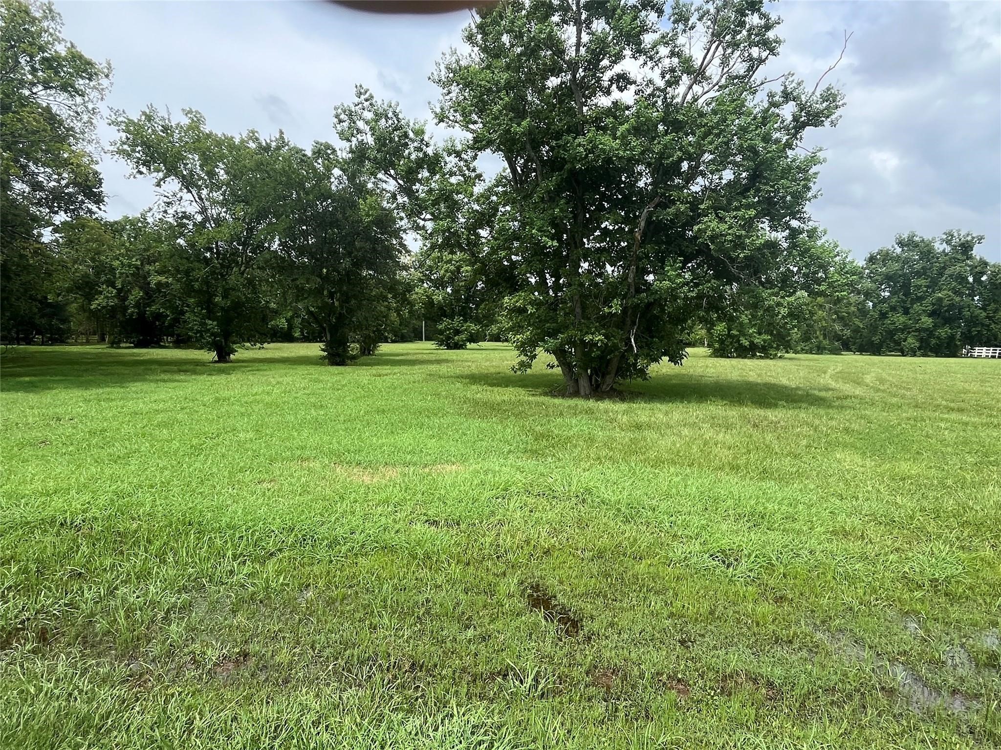 6703 Rustling Oaks Drive Rosenberg, TX 77469 - Photo 5 of 10 a view of field with trees in the background