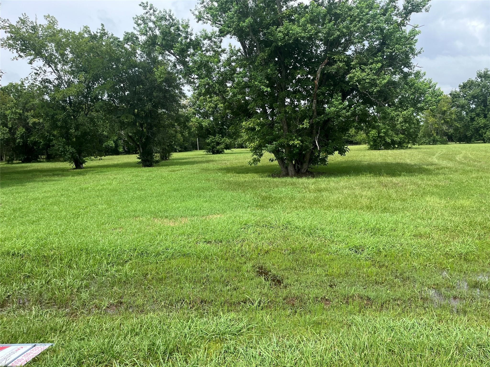 6703 Rustling Oaks Drive Rosenberg, TX 77469 - Photo 6 of 10 a view of green field with trees in the background