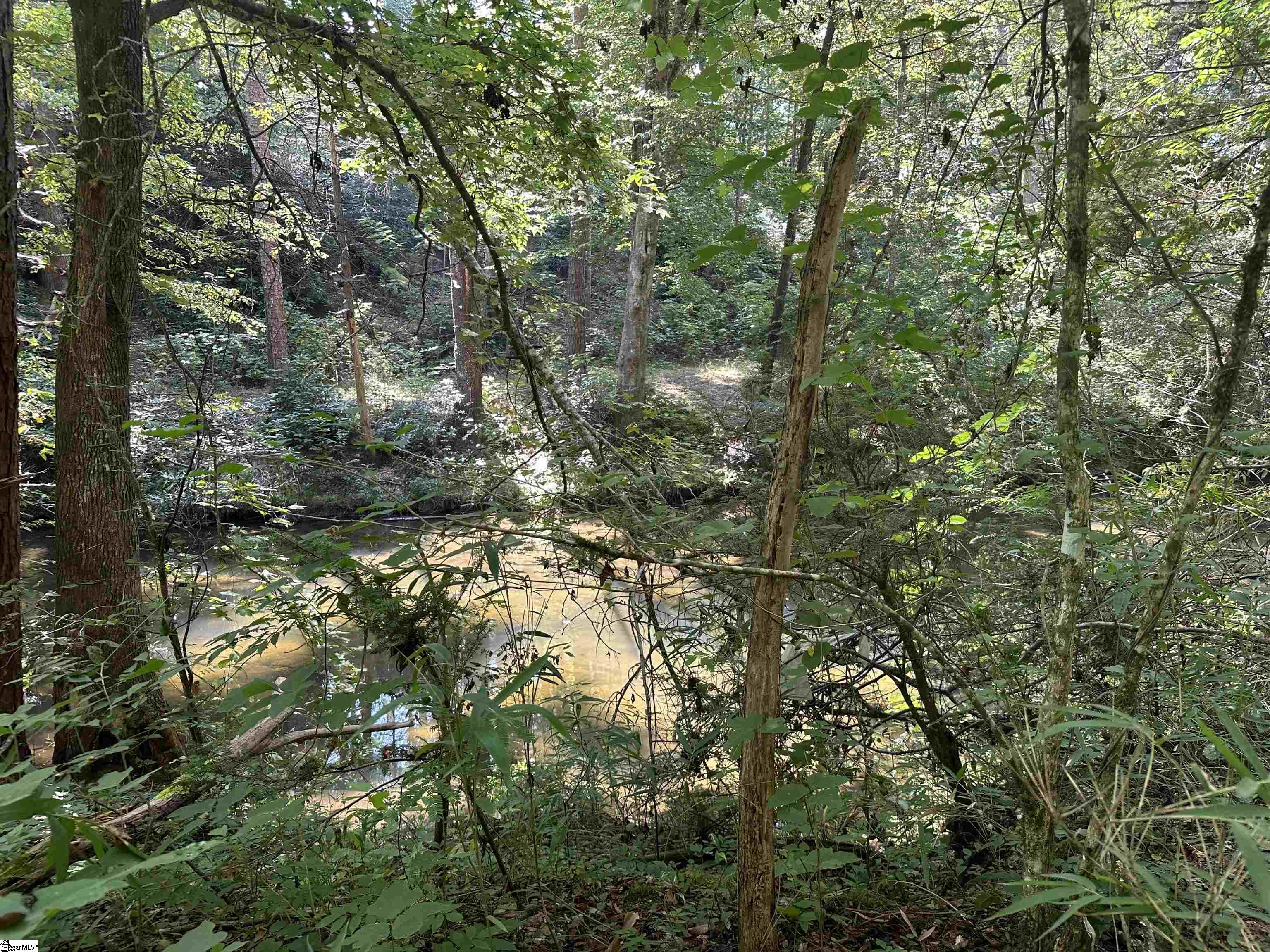 3 Table Rock Road Cleveland, SC 29635 - Photo 14 of 20