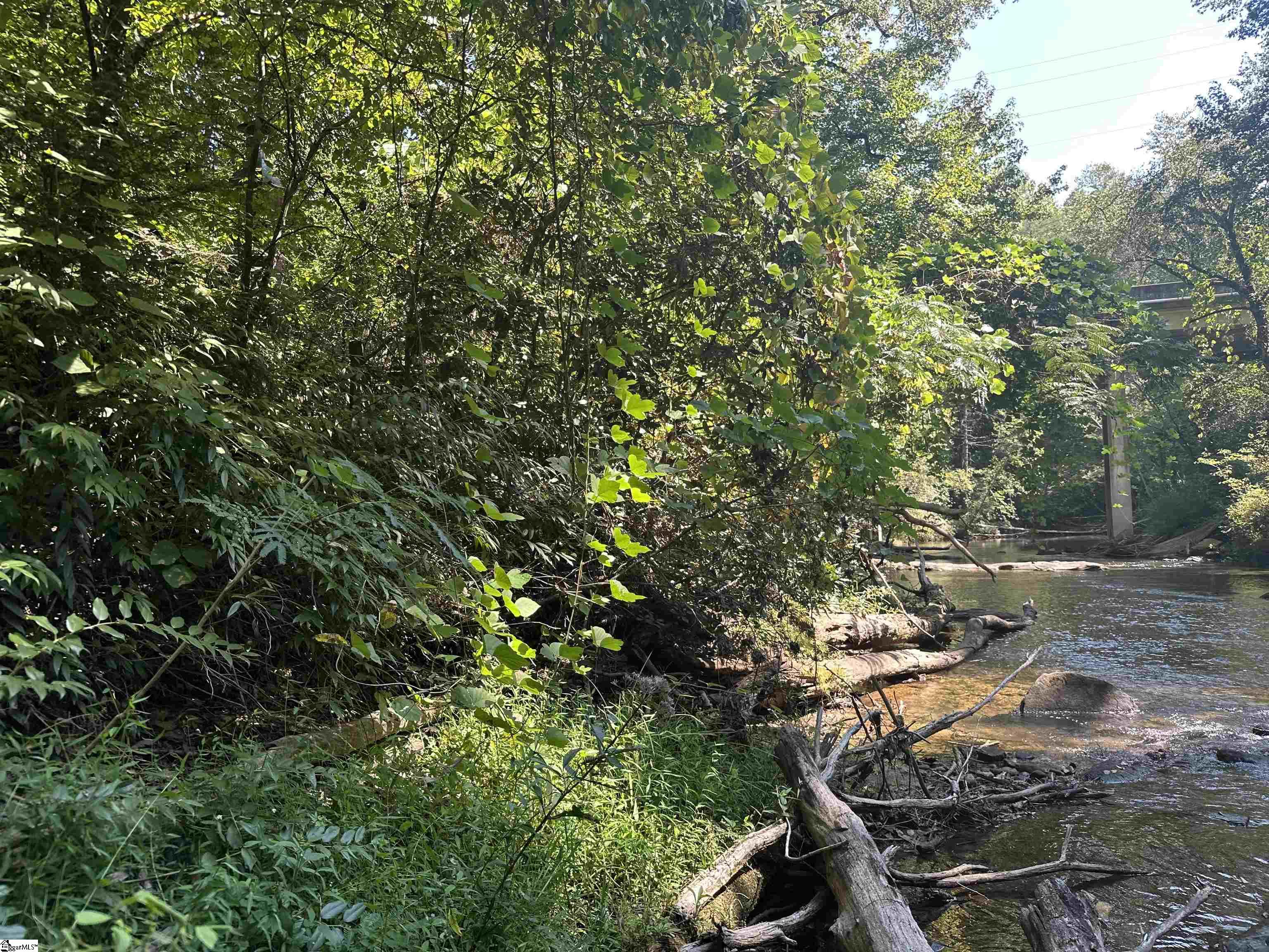 3 Table Rock Road Cleveland, SC 29635 - Photo 18 of 20