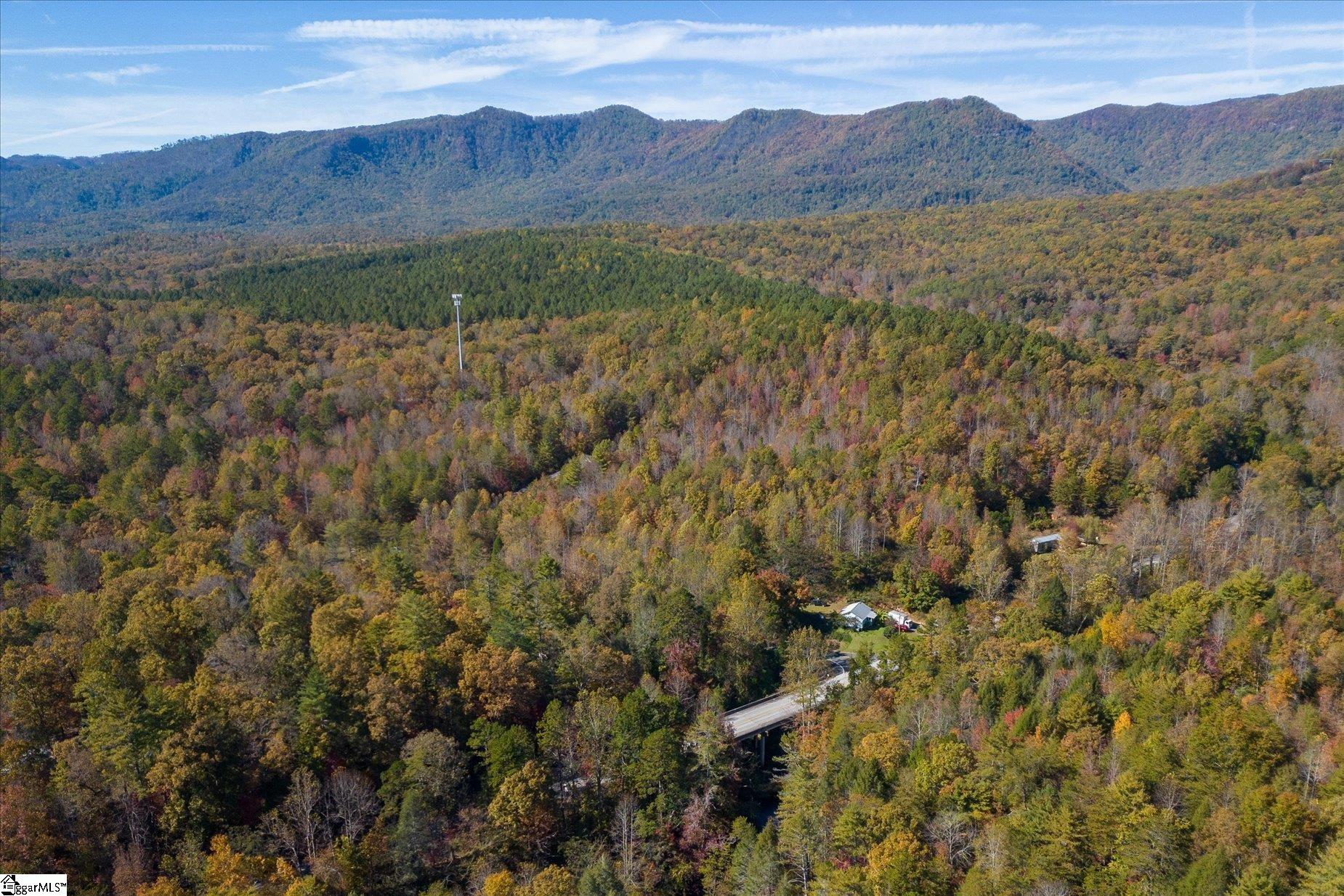 3 Table Rock Road Cleveland, SC 29635 - Photo 6 of 20