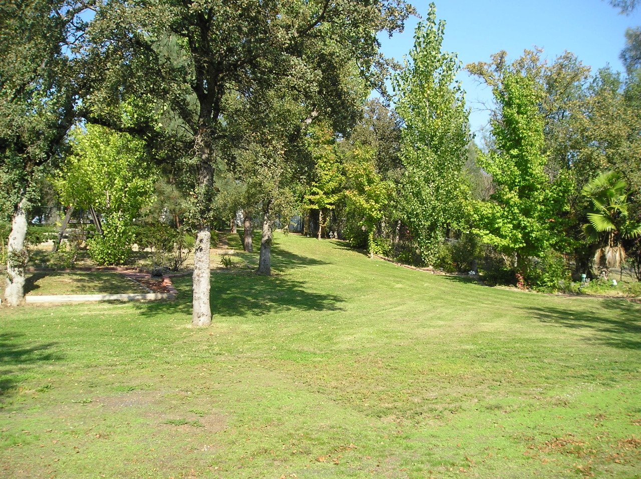 10296 Hummingbird Lane Redding, CA 96003 - Photo 2 of 8 Back yard 004