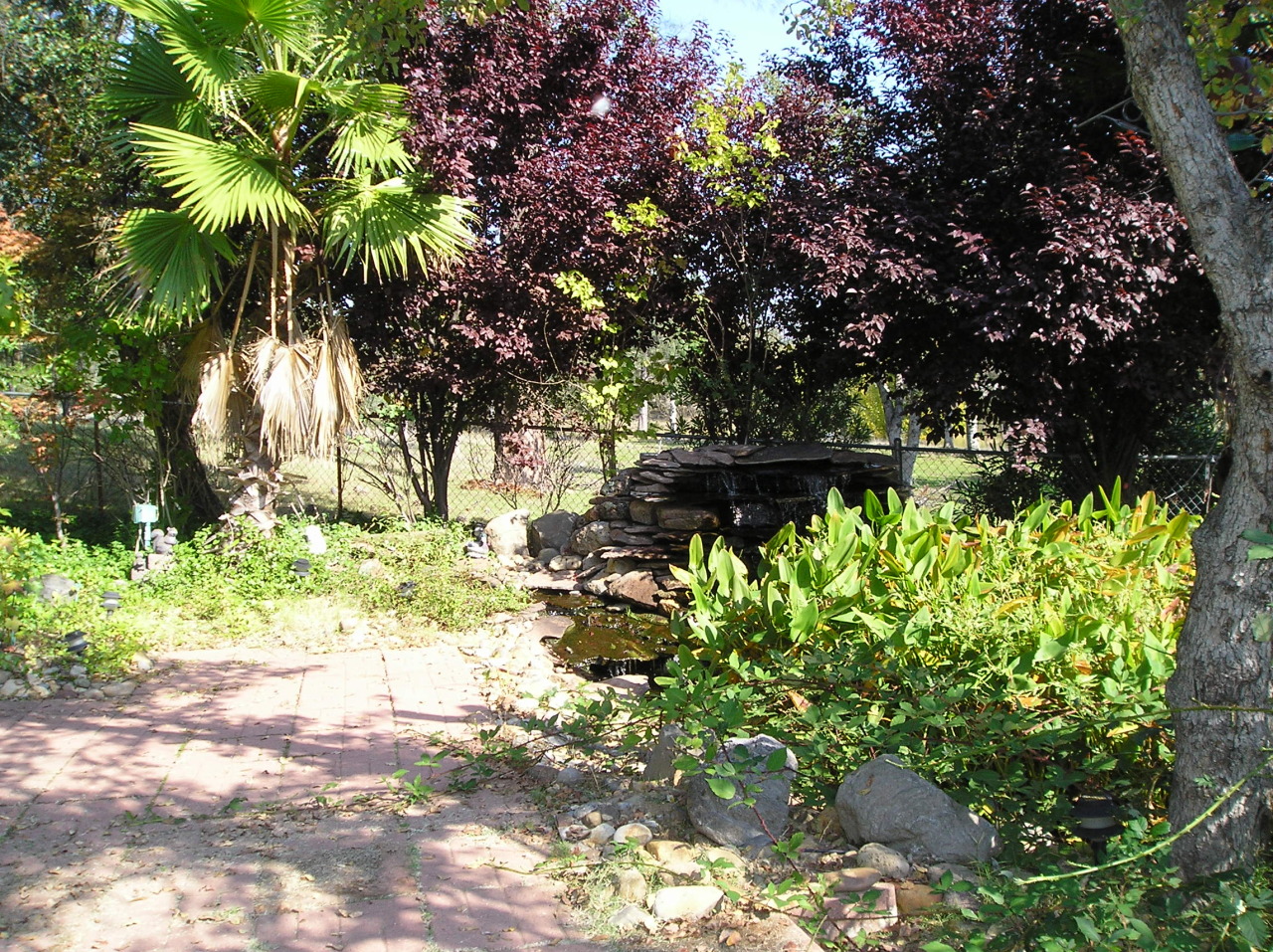 10296 Hummingbird Lane Redding, CA 96003 - Photo 5 of 8 002