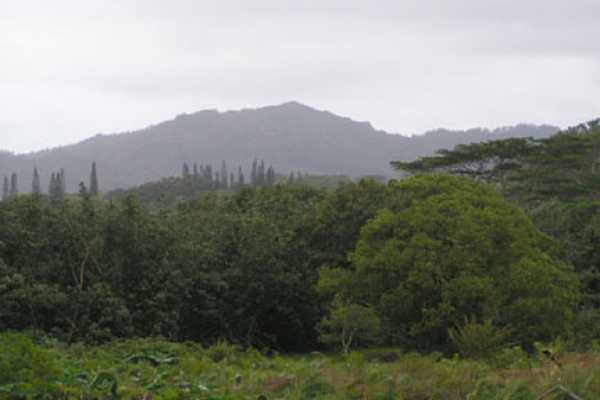 41 A Kahuna Road Kapaa, HI 96746 - Photo 14 of 16 Gallery Image 14