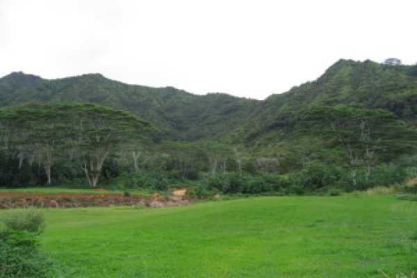 41 A Kahuna Road Kapaa, HI 96746 - Photo 8 of 16 Gallery Image 8