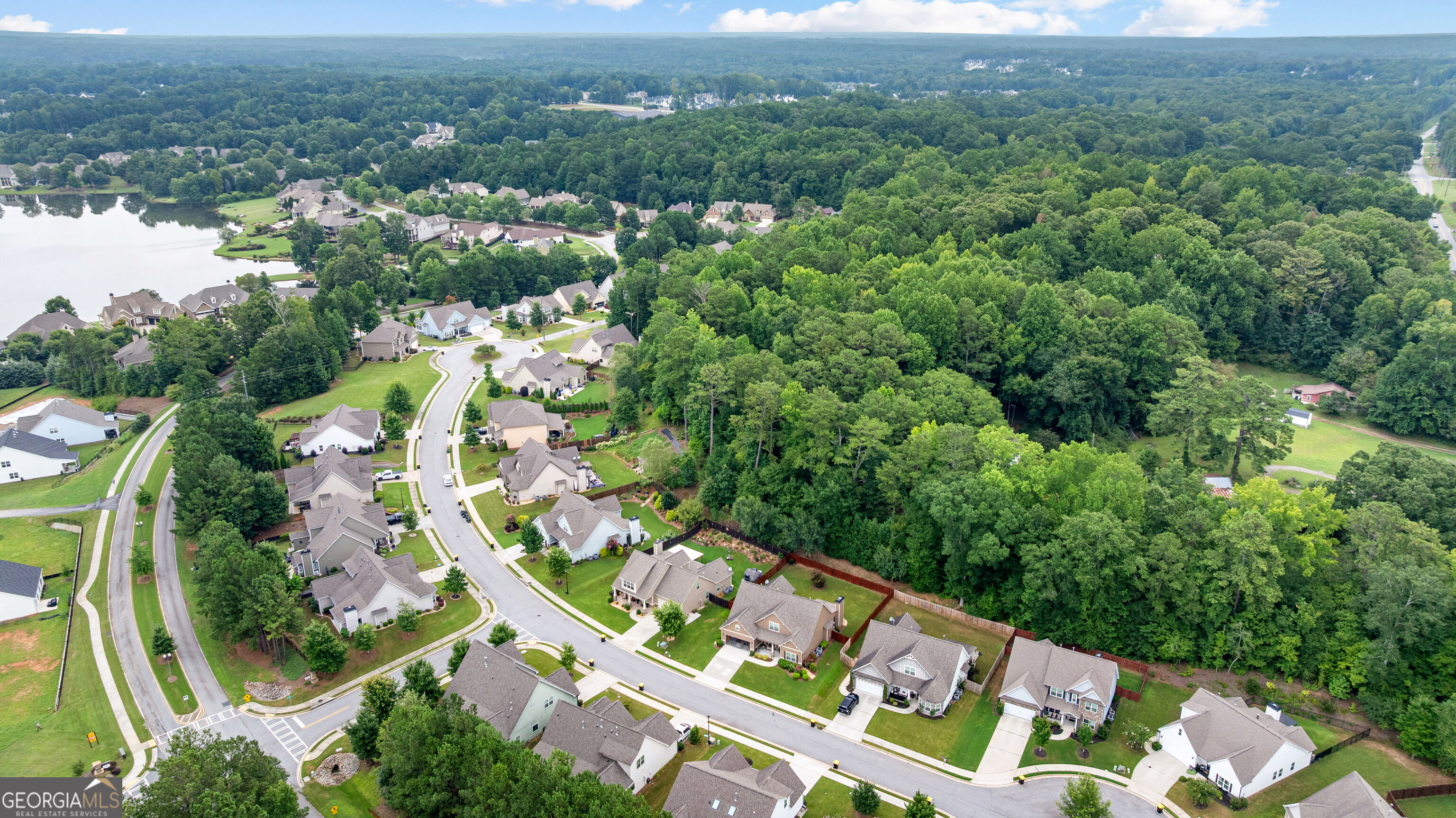 12 Delaware Way Newnan, GA 30265 - Photo 59 of 61 Aerial view of the neighborhood streets and surrounding tree cover.