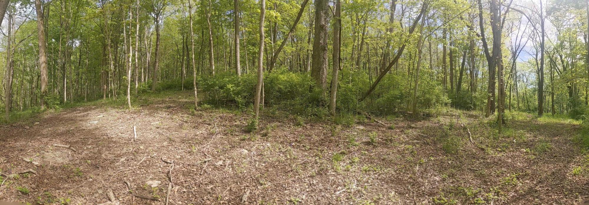 Lot B Morris Road Sadieville, KY 40370 - Photo 4 of 4 PXL_20210502_151237751.PANO