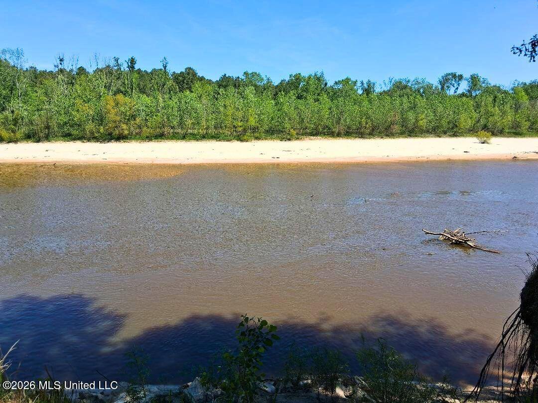 143 Ralph's Drive Leakesville, MS 39451 - Photo 38 of 43 Sandy Bank Across the River