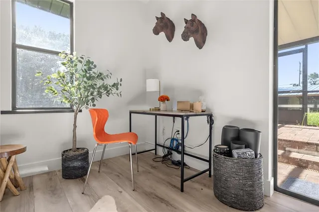 a living room with furniture and a potted plant
