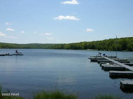 149 Rodeo Drive Hawley, PA 18428 - Photo 27 of 34 8 Boat Docks McConnell Lake