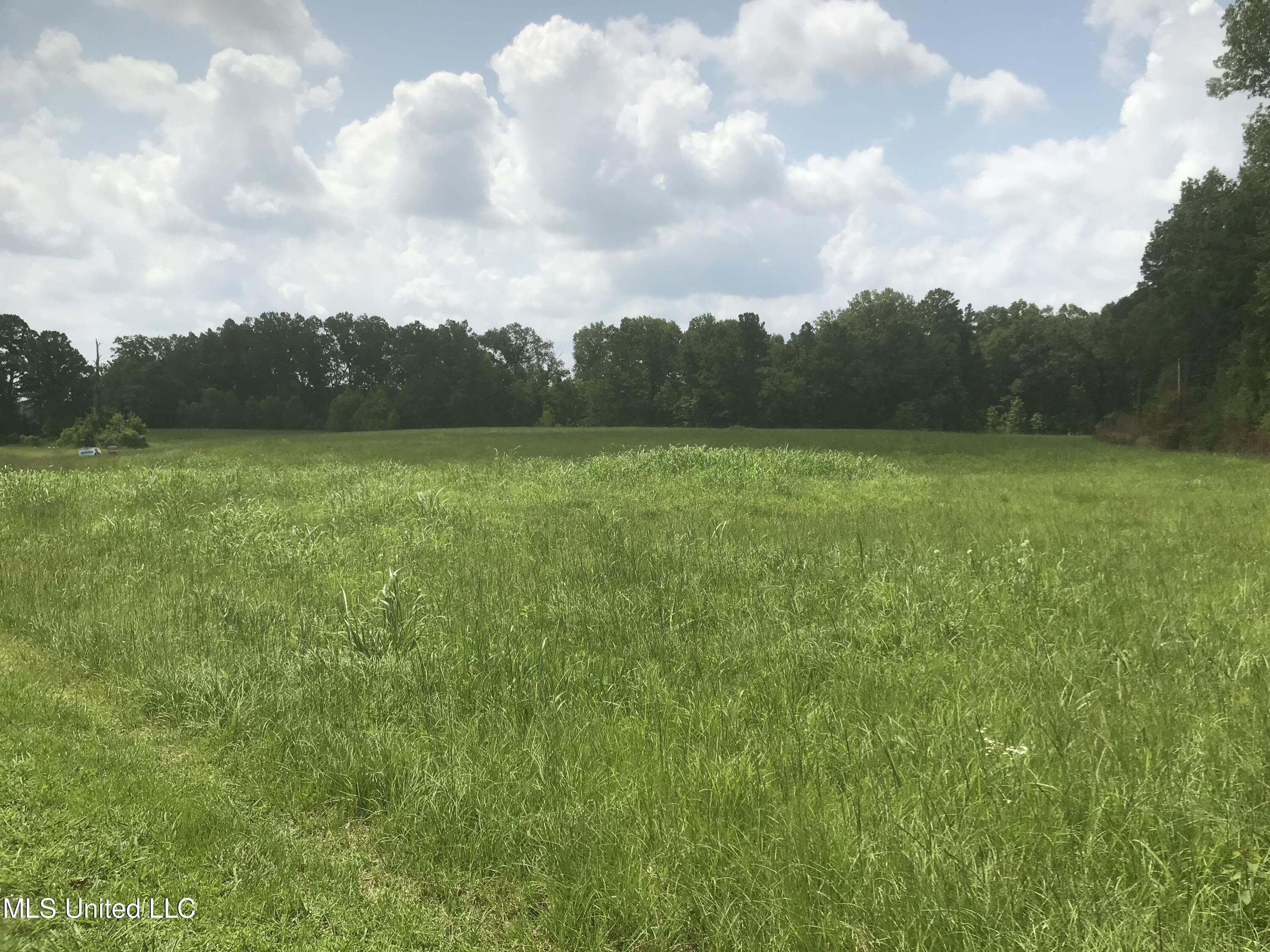 Colony Park Boulevard Ridgeland, MS 39157 - Photo 2 of 4 IMG-9273