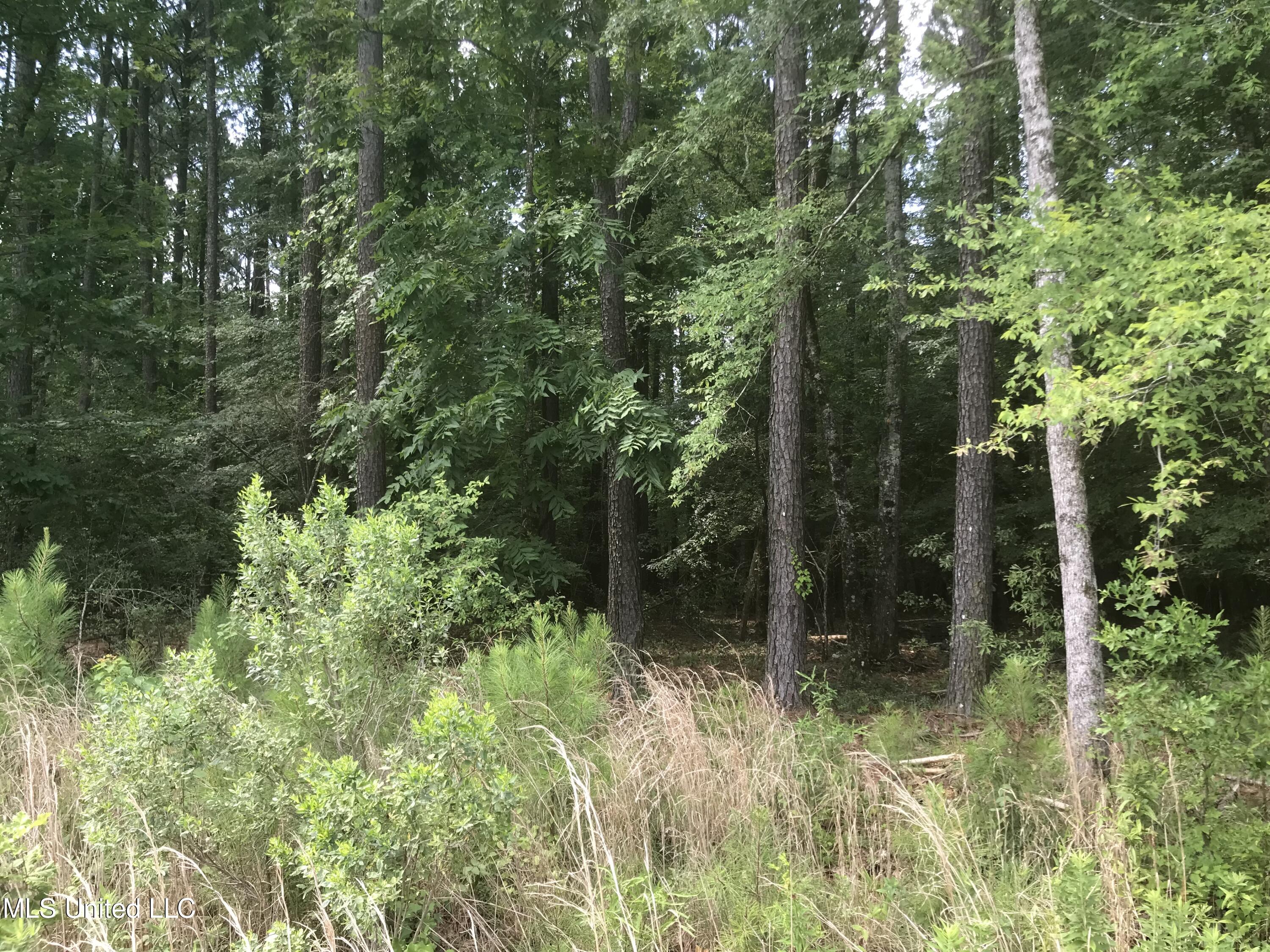 Colony Park Boulevard Ridgeland, MS 39157 - Photo 4 of 4 IMG-9272