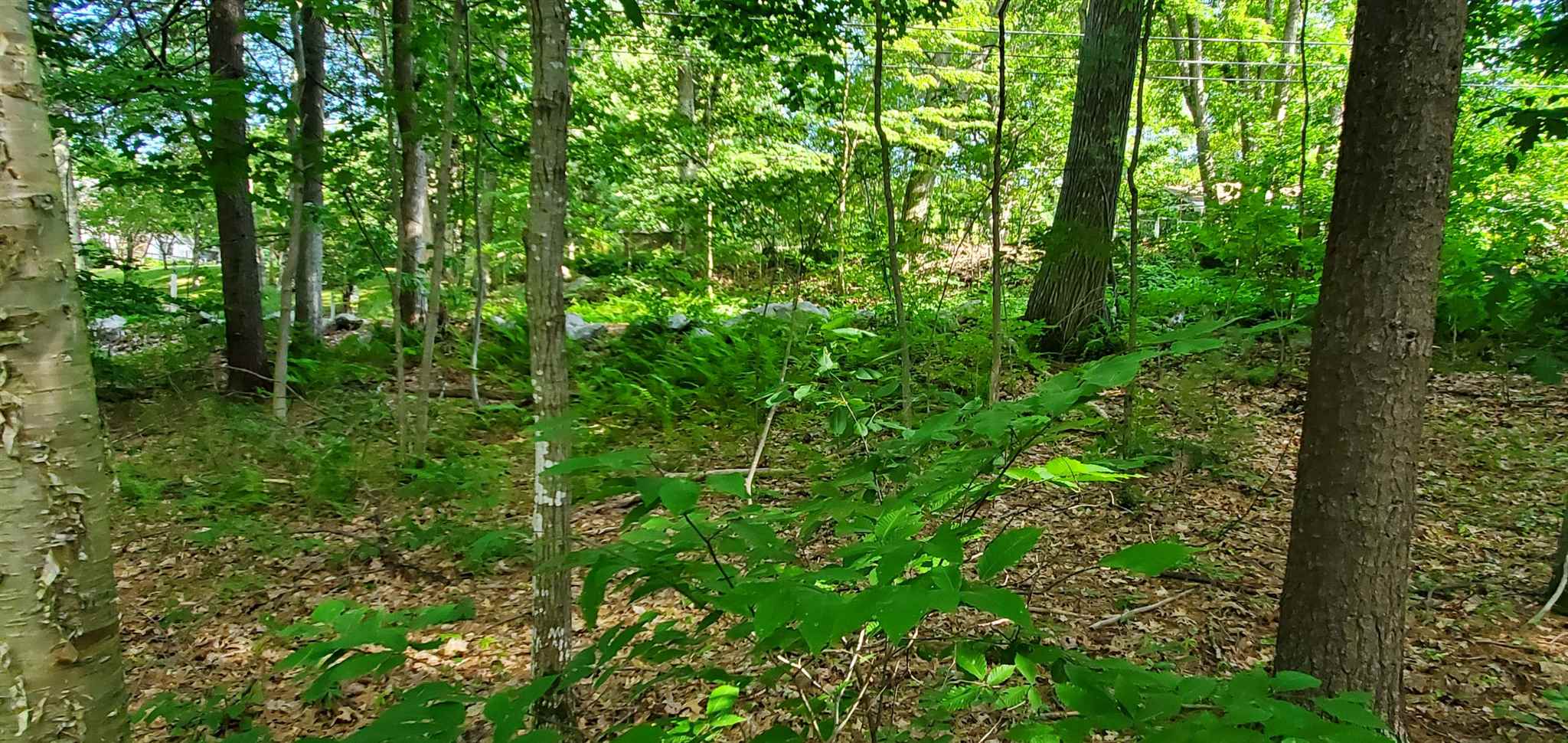 Lot 5-4 Tebbetts Road Rochester, NH 03867 - Photo 6 of 8