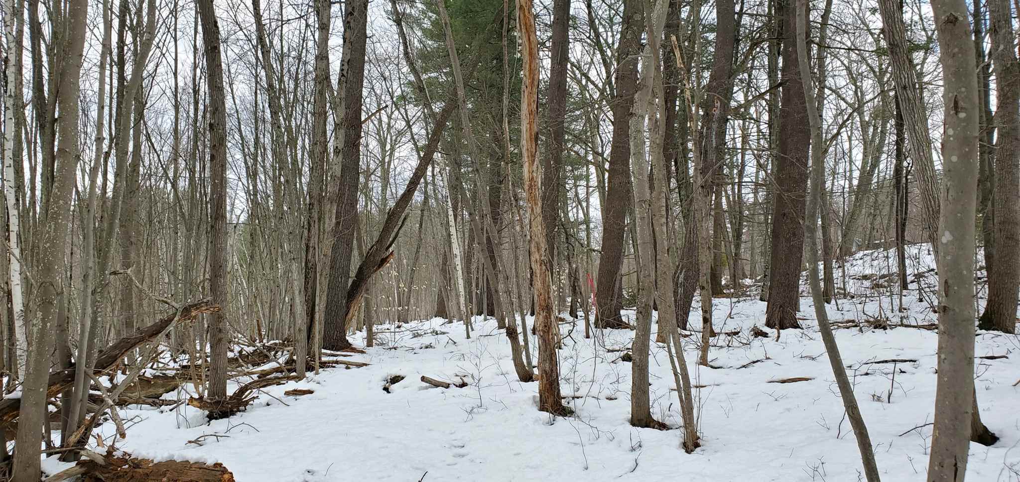 Lot 5-4 Tebbetts Road Rochester, NH 03867 - Photo 7 of 8