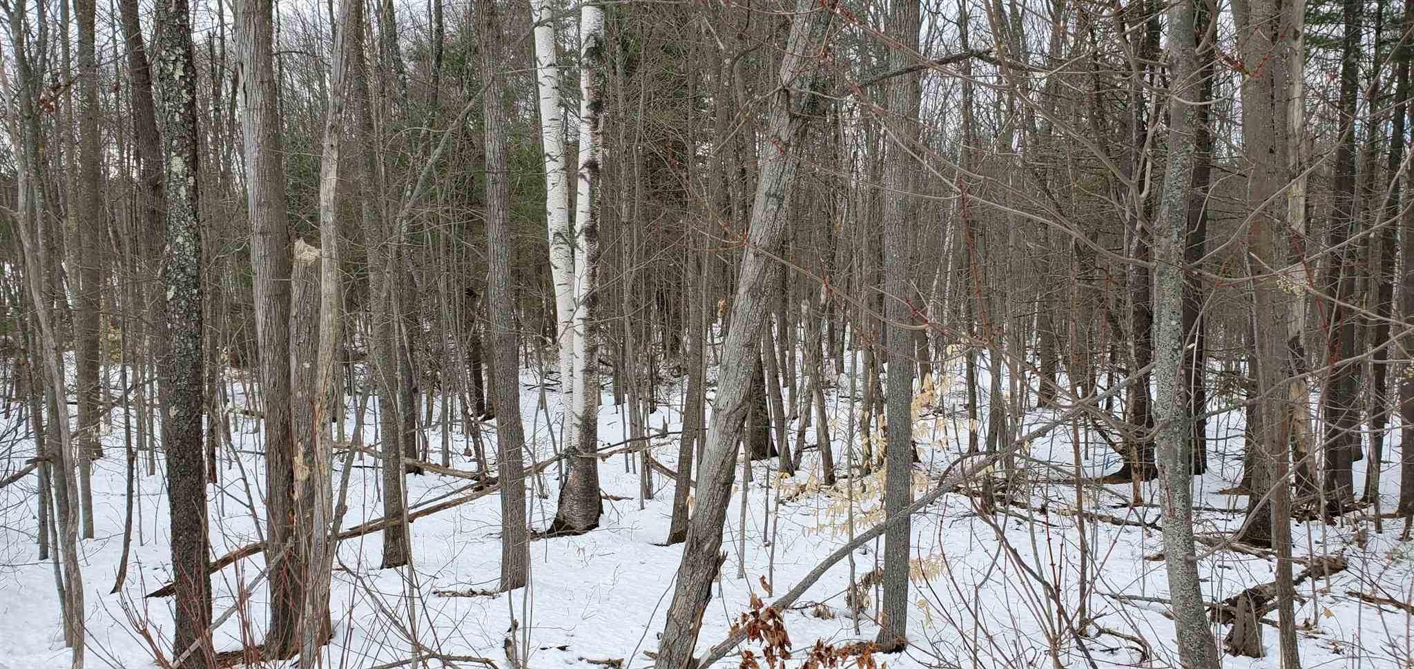 Lot 5-4 Tebbetts Road Rochester, NH 03867 - Photo 8 of 8