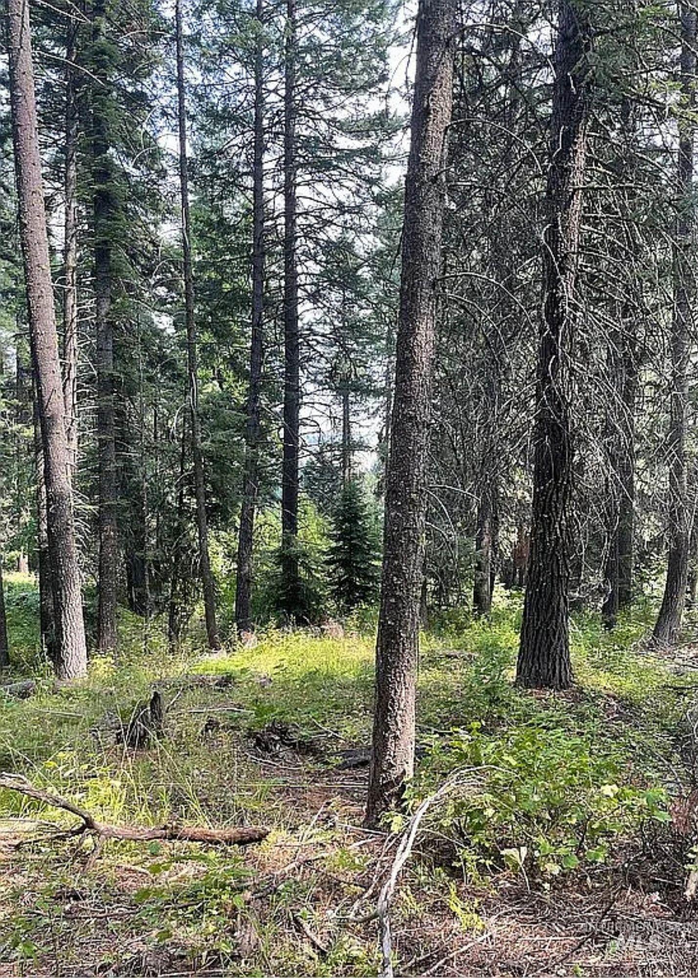 66 Hillside Trail Cascade, ID 83611 - Photo 3 of 9