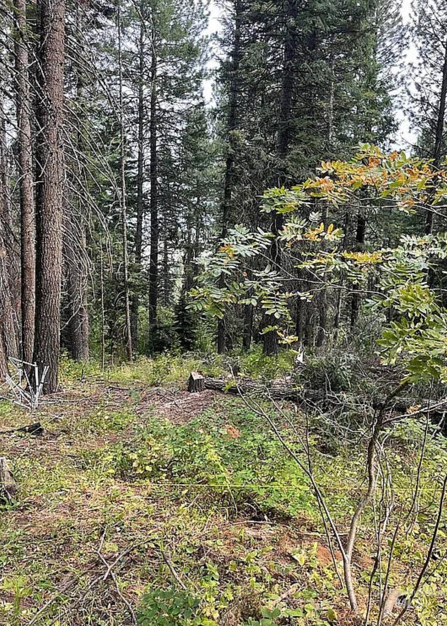 66 Hillside Trail Cascade, ID 83611 - Photo 5 of 9