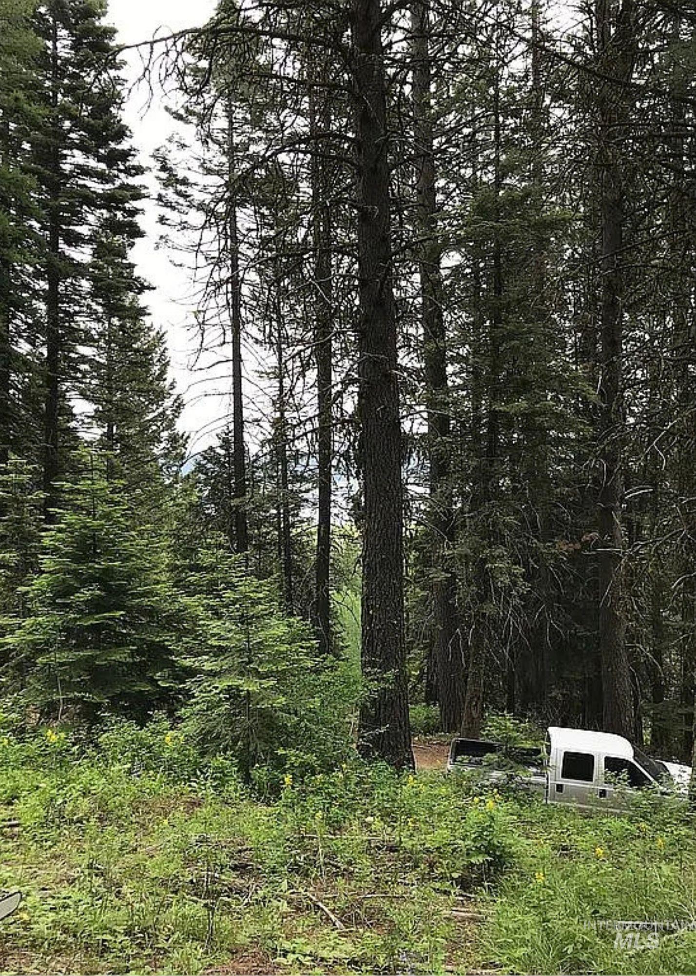 66 Hillside Trail Cascade, ID 83611 - Photo 6 of 9
