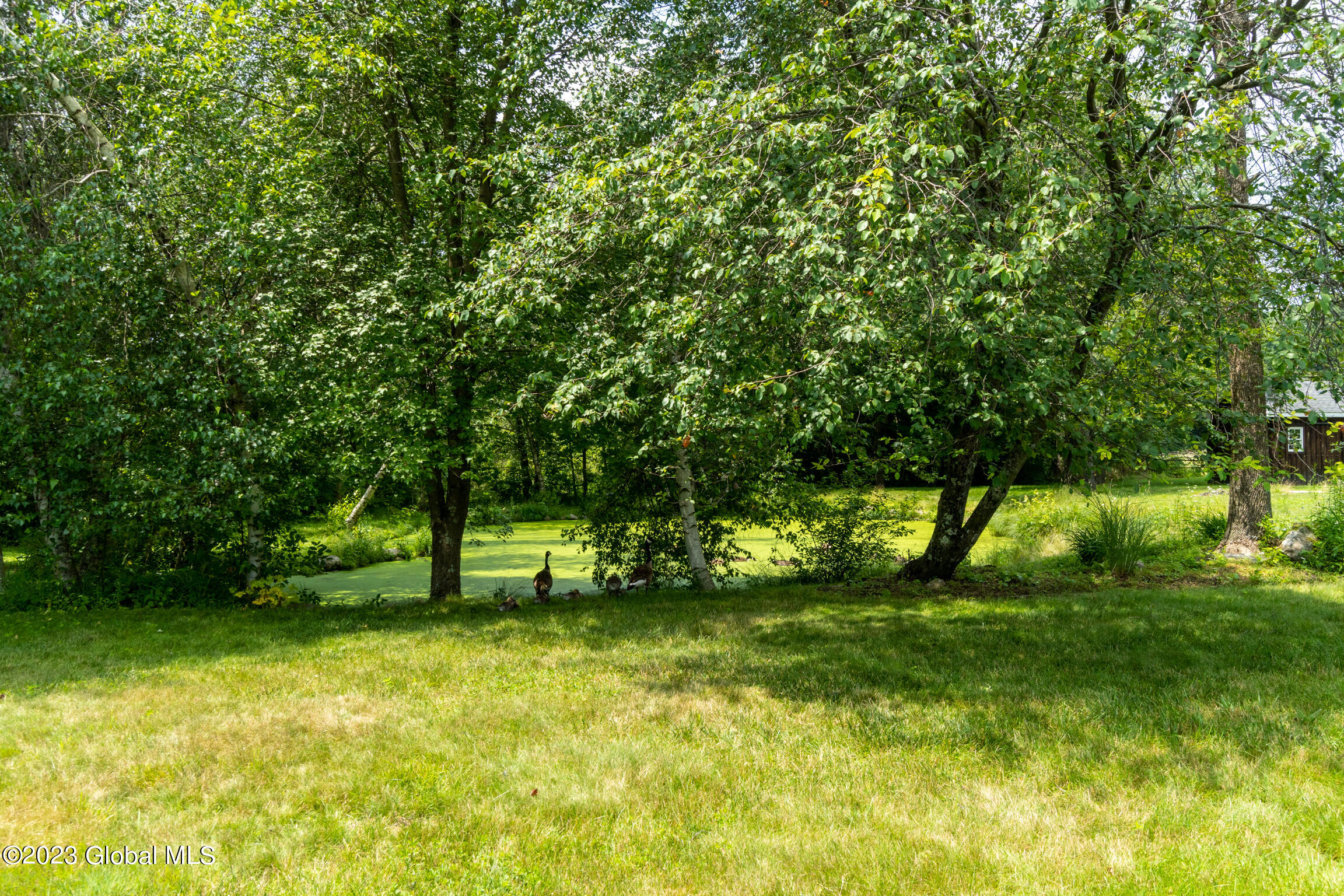 771 Grooms Road Rexford, NY 12148 - Photo 28 of 33 27
