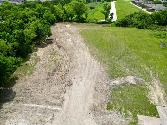 a view of a yard with plants