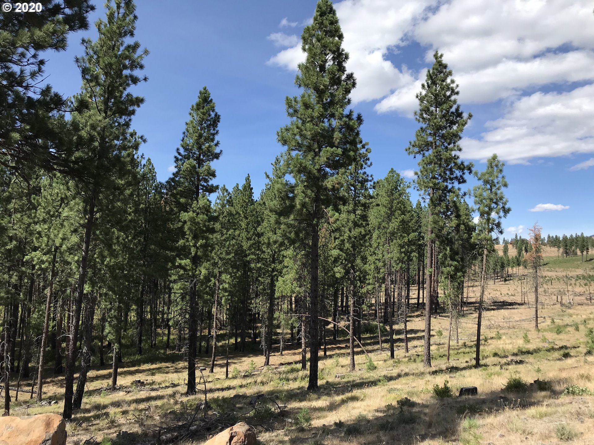 Box Canyon Road Goldendale, WA 98620 - Photo 15 of 28