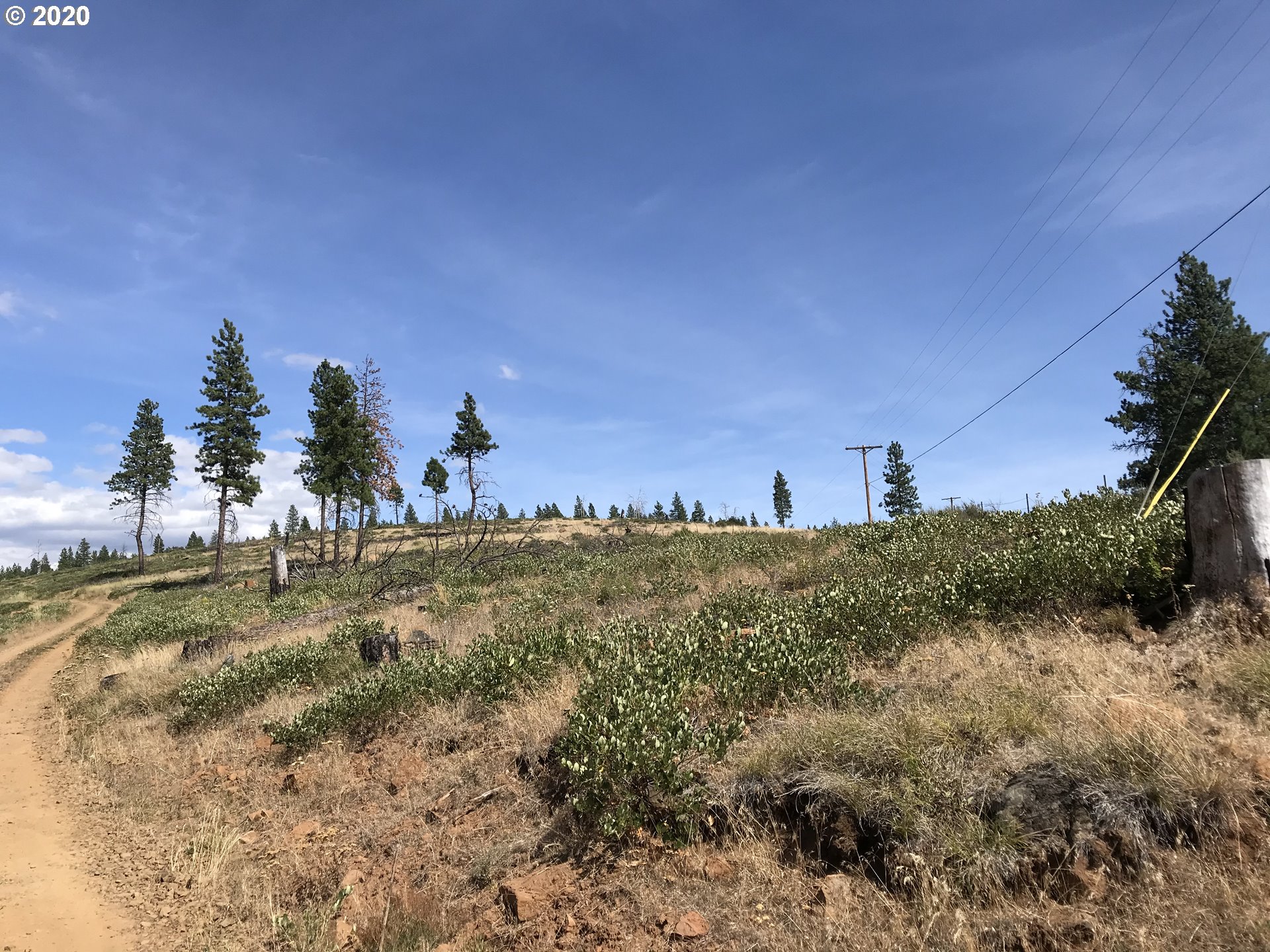 Box Canyon Road Goldendale, WA 98620 - Photo 16 of 28