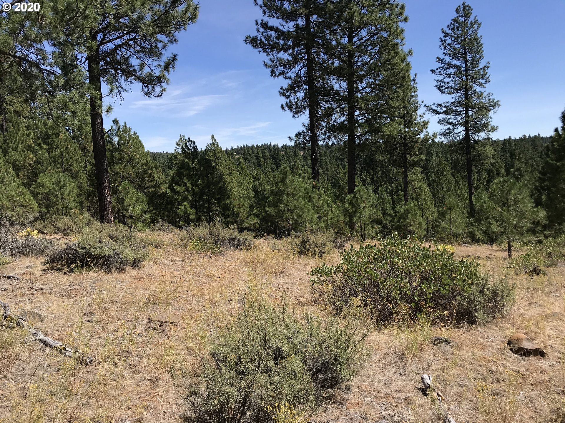 Box Canyon Road Goldendale, WA 98620 - Photo 19 of 28