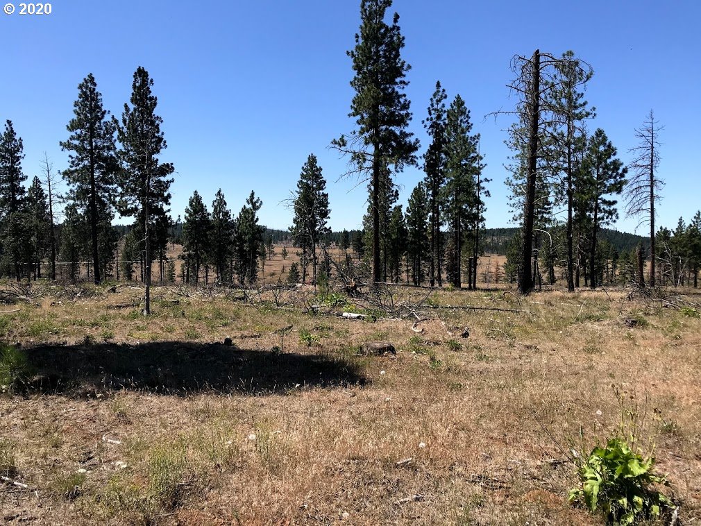 Box Canyon Road Goldendale, WA 98620 - Photo 3 of 28