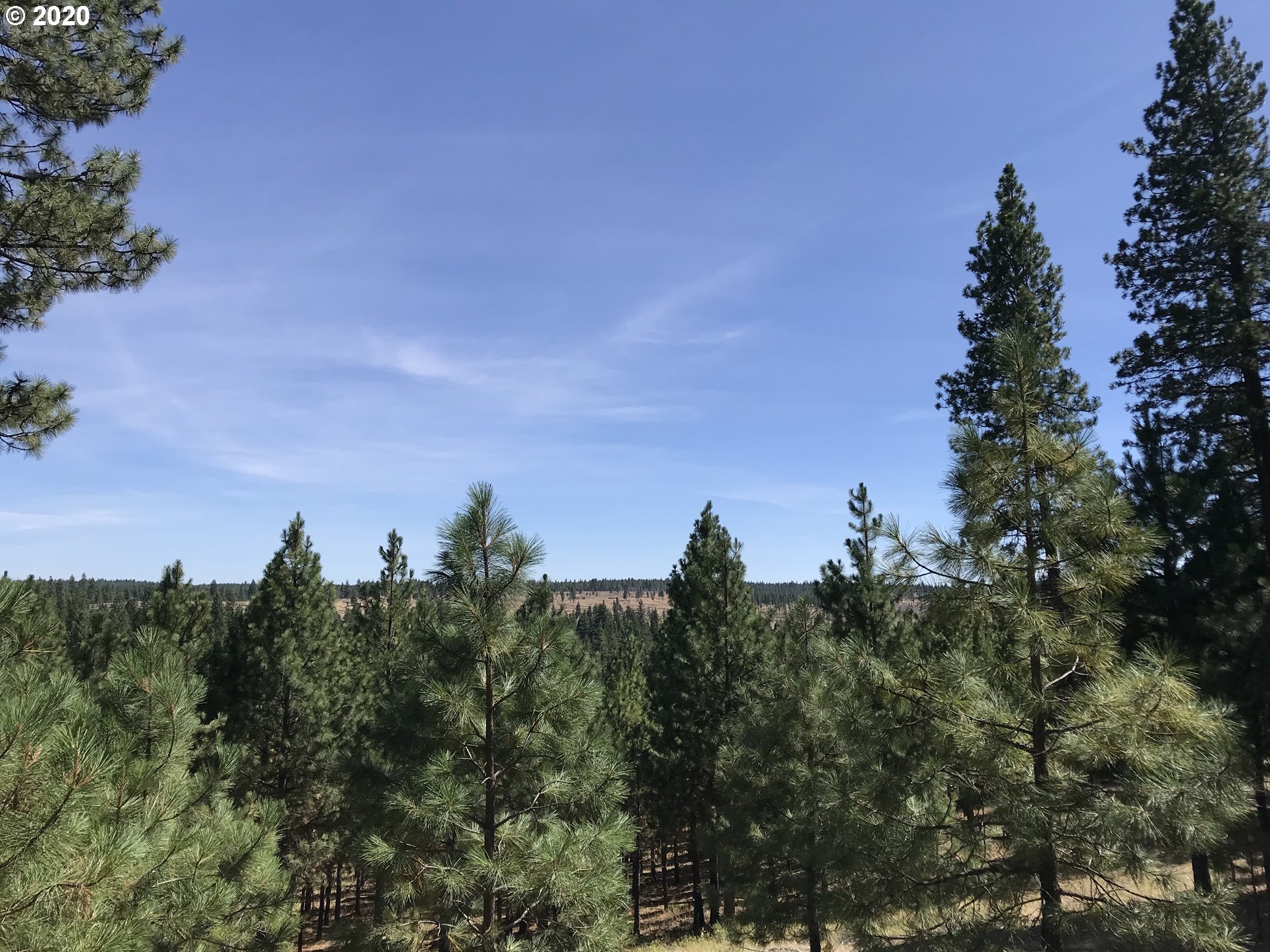 Box Canyon Road Goldendale, WA 98620 - Photo 21 of 28