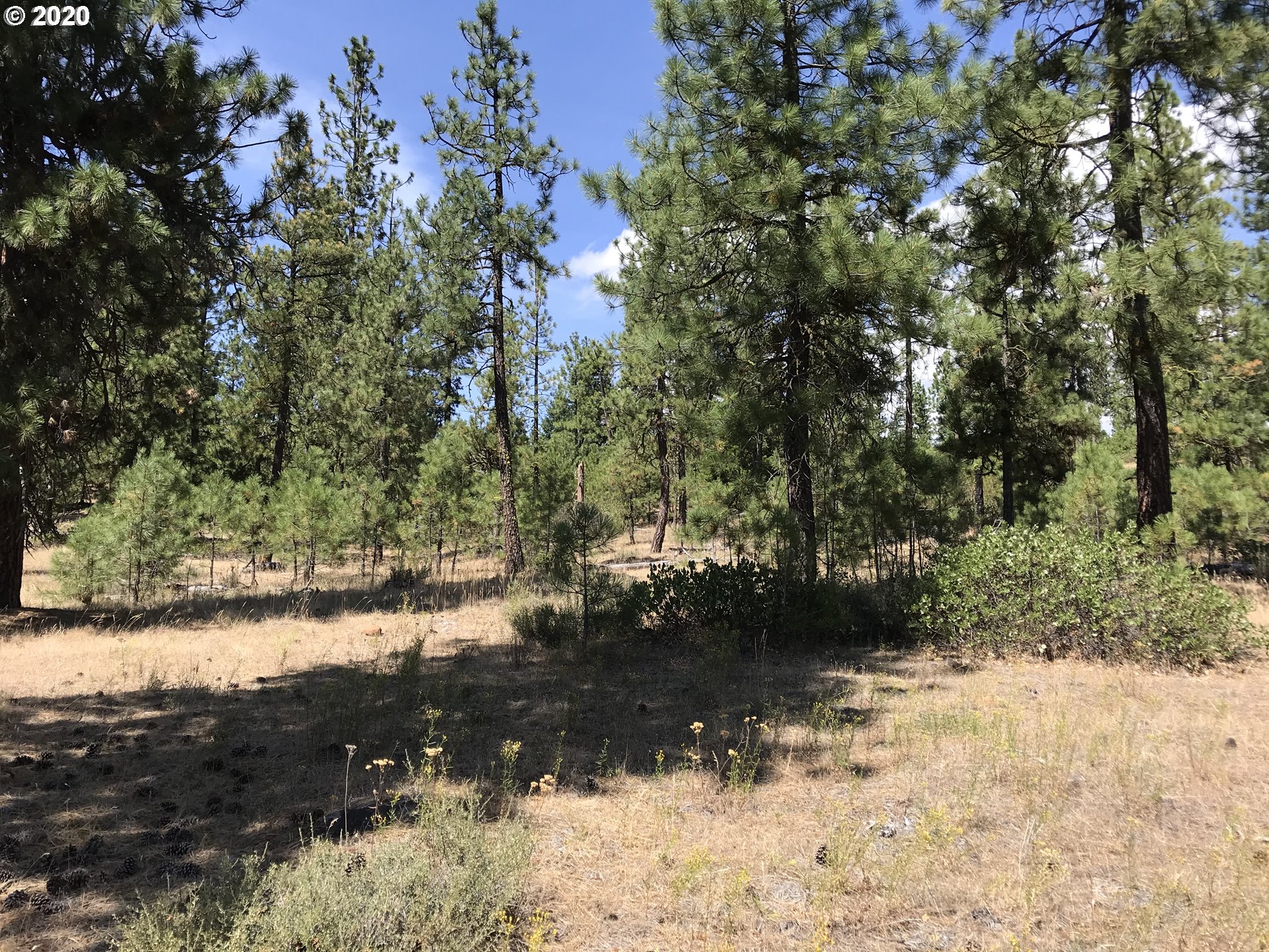 Box Canyon Road Goldendale, WA 98620 - Photo 22 of 28