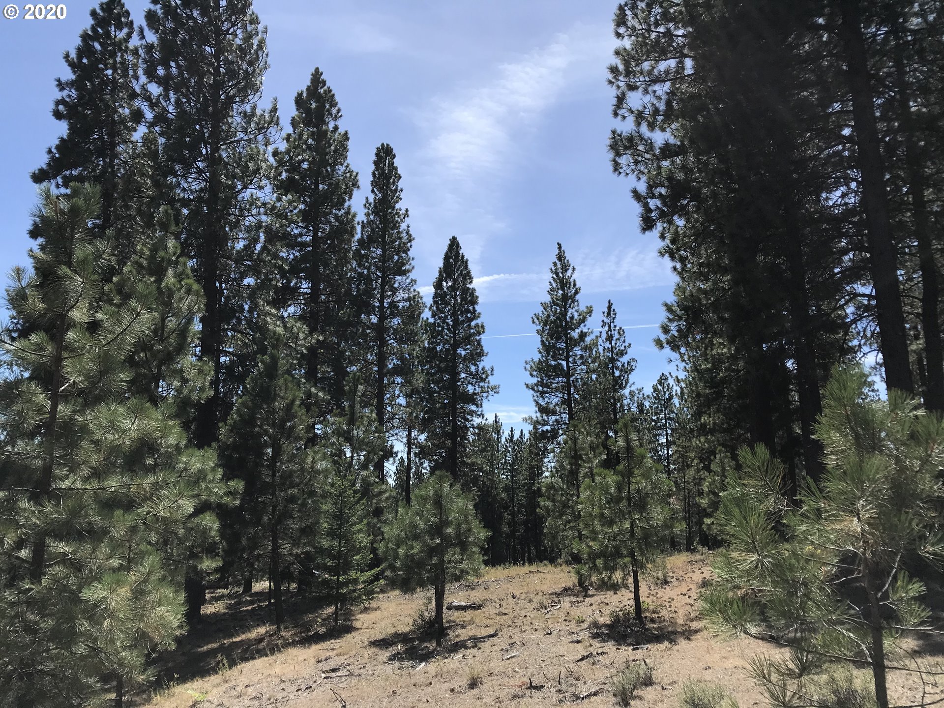 Box Canyon Road Goldendale, WA 98620 - Photo 26 of 28