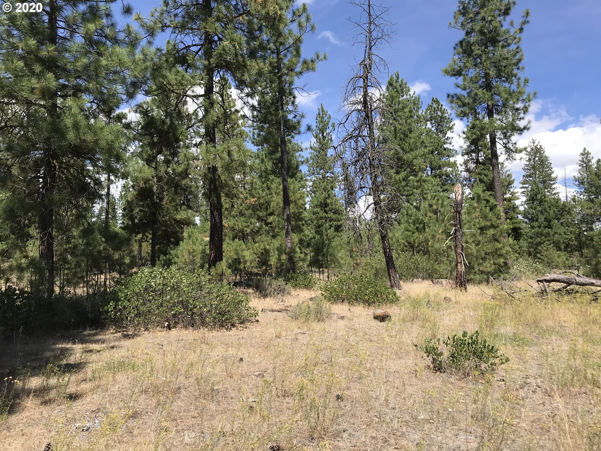 Box Canyon Road Goldendale, WA 98620 - Photo 27 of 28