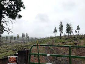 Box Canyon Road Goldendale, WA 98620 - Photo 6 of 28
