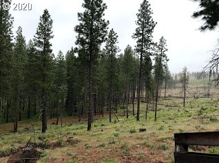 Box Canyon Road Goldendale, WA 98620 - Photo 7 of 28