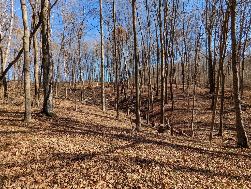 6 County Road Tippecanoe, OH 44699 - Photo 1 of 28 Gallery Image 1