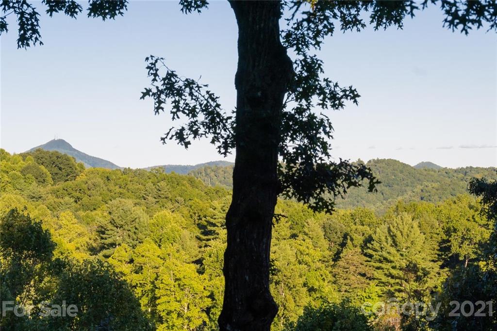 1398 Macedonia Road Saluda, NC 28773 - Photo 46 of 48 Gallery Image 46