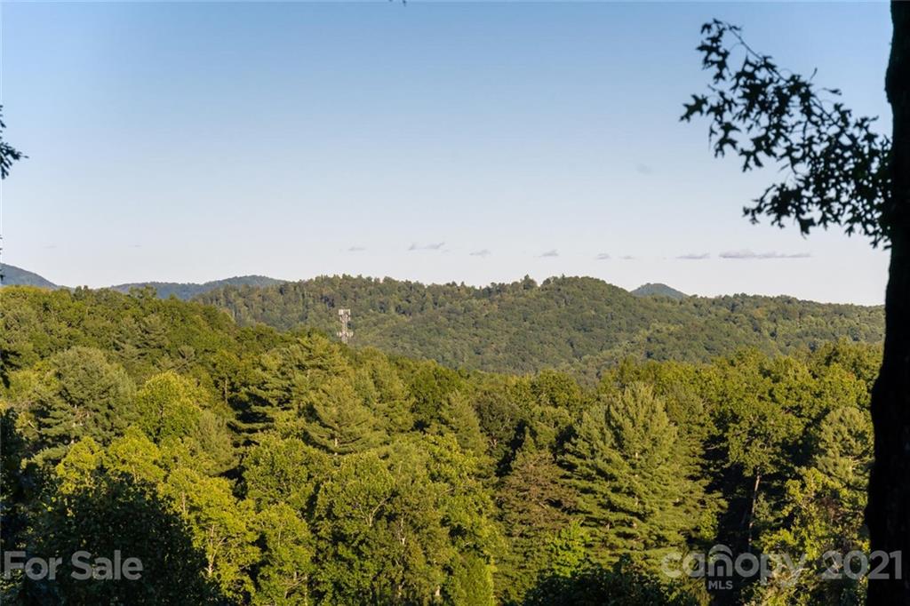 1398 Macedonia Road Saluda, NC 28773 - Photo 47 of 48 Gallery Image 47