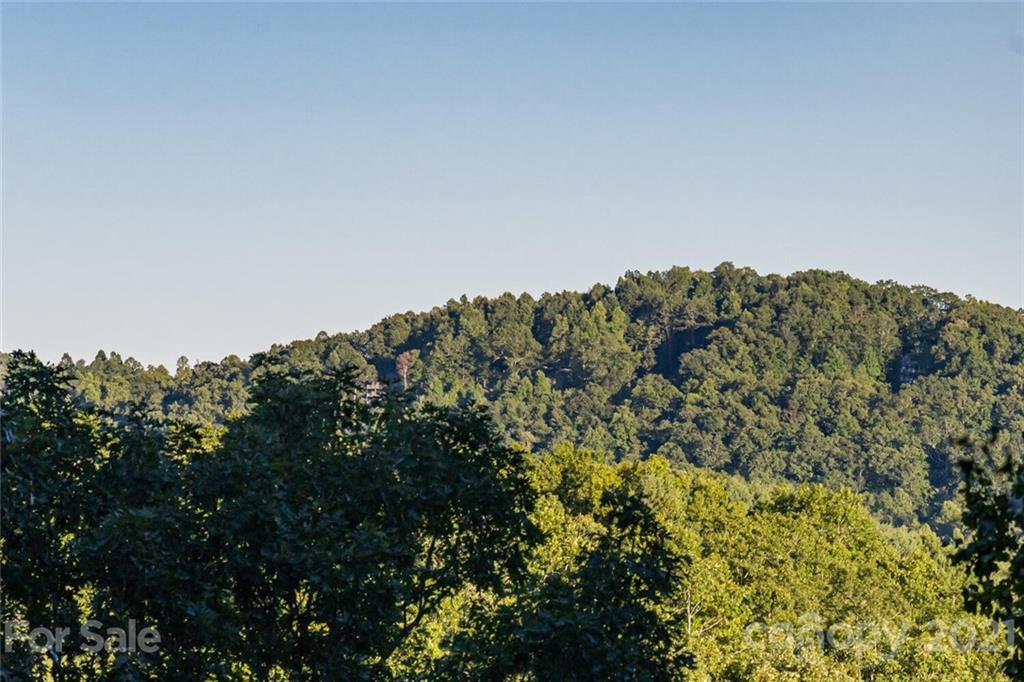 1398 Macedonia Road Saluda, NC 28773 - Photo 48 of 48 Gallery Image 48